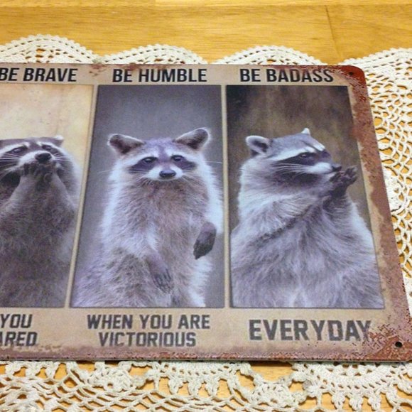 Fiesty Raccoon with Positive Message, new wall art - Picture 4 of 4